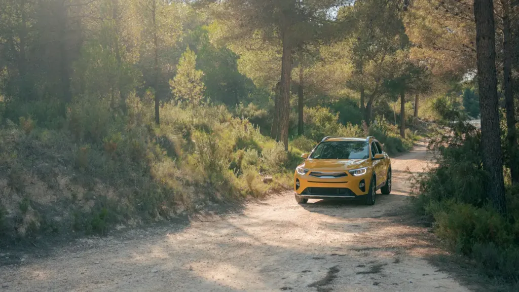 voiture jaune roulant dans la forêt